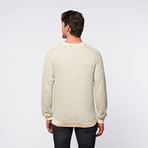 Tank Farm // Flynn Raglan Sweatshirt // Oatmeal (L)