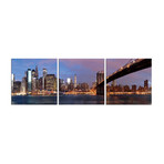 NYC Islands (20"L x 20"W)