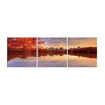 NYC Central Park (20"W x 20"H x 0.5"D)