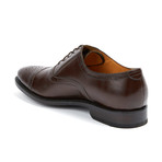 Perforated Cap-Toe Shoe // Dark Brown (US: 8.5)