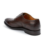 Victor Wing-Tip Shoe // Brown (US: 9.5)