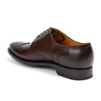 Conrad Wingtip Shoe // Brown (US: 9.5)