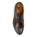 Classic Wing-Tip Shoe // Dark Brown (US: 10.5)