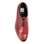 Waxy Leather Wing-Tip Shoe // Wine (US: 8.5)