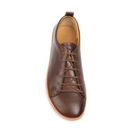 Bannister Leather Sneaker // Dark Brown (Euro: 40)