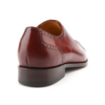 Adam Lace-Up Oxford // Reddish Brown (US: 12)