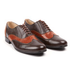 Lord Chancellor Two Tone Wingtip Oxford // Brown (Euro: 42)