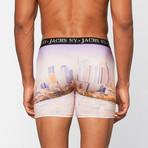 JACH's // Los Angeles Boxer // Multi (XL)