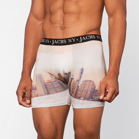 JACH's // New York City Boxer // Multi (S)