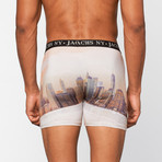 JACH's // New York City Boxer // Multi (M)