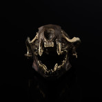 Neovision Mink Skull