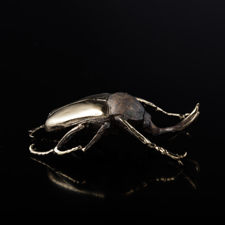 Megalorrhina Beetle Desk Sculpture