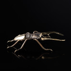 Stag Beetle Sculpture