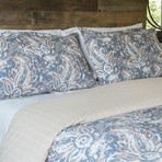 The Painted Paisley Duvet Set (Twin/Twin Extra Long)