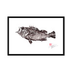 Armor Clad Rockfish (16"W x 11"H)