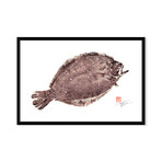 Flounder Fluke (16"W x 11"H)