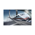 Inter-City Express (15"W x 8"H)