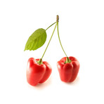 Genetic Modification 2 (15"W x 15"H)