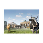 Cattle Gate (15"W x 11"H)