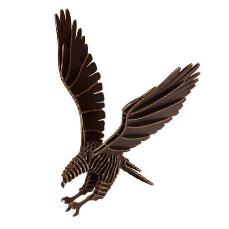 Hawk (Black)
