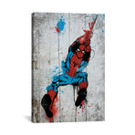 Spider-Man Spray Paint (18"W x 26"H x 0.75"D)