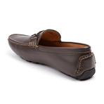 Cougar Buckle Loafer // Coffee (US: 10)
