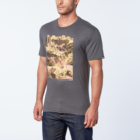 Pig Dog Tee // Charcoal (S)