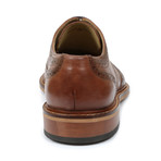 Rant Classic Wingtip Oxford // Brown (US: 7)