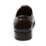 Klave Moc Toe Oxford // Brown (US: 10)