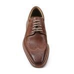 Risque Medallion Wingtip Oxford // Rust (US: 9)