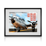 The Pacific Princess (13" x 19")