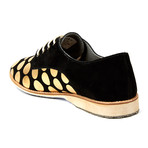 Suede Derby // Black + Gold Spot (US: 7)