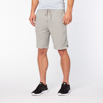 Sweatpant Shorts // Heather Gray (XL)
