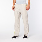 Warm-Up Pants // Vapor Gray (XL)