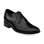 Alito Wingtip Derby // Black (US: 7)