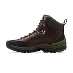 Outride GTX Boot // Brown Leather (US: 7)