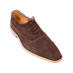 Suede Oxford Shoe // Coffee Brown (Euro: 44)