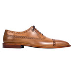 Oxford Shoe // Tango Brown (Euro: 41)