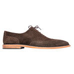 Suede Brogue // Coffee Brown (Euro: 41)