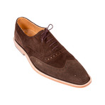 Suede Brogue // Coffee Brown (Euro: 43)