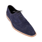 Suede Brogue // Navy Blue (Euro: 42)