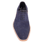 Suede Brogue // Navy Blue (Euro: 43)