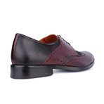 Andy Two-Tone Brogue // Wine + Black (Euro: 44)