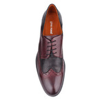 Andy Two-Tone Brogue // Wine + Black (Euro: 44)