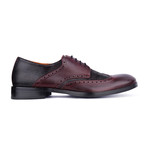 Andy Two-Tone Brogue // Wine + Black (Euro: 44)