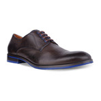 Two-Tone Derby // Dark Brown + Navy Blue (Euro: 40)