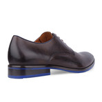 Two-Tone Derby // Dark Brown + Navy Blue (Euro: 40)