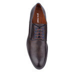 Two-Tone Derby // Dark Brown + Navy Blue (Euro: 40)