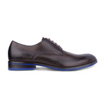 Two-Tone Derby // Dark Brown + Navy Blue (Euro: 40)