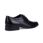 Perforated Wingtip Derby // Black (Euro: 45)